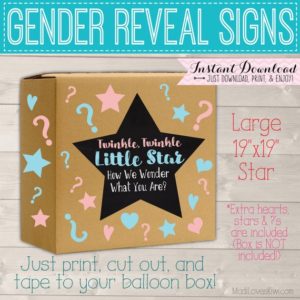 Twinkle Twinkle Little Star Gender Reveal Box Sign, Party Balloon Decor Ideas, Chalkboard Printable Pink Blue Decorations Girl Boy Digital