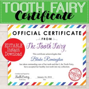 Editable Tooth Fairy Certificate Instant Download, First Lost Tooth Keepsake, Digital Tooth Fairy Receipt Girl Tooth Fairy Rainbow Printable