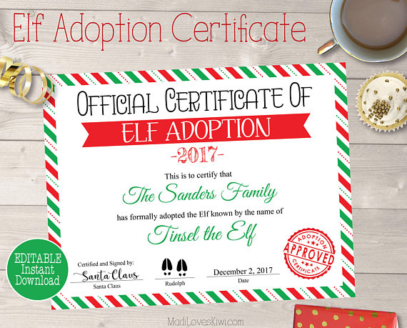 Personalized Elf Adoption Certificate Printable, Elf Adoption Papers, Customized Elf Printable, Printable Elf Certificate, Adopt an Elf