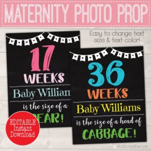 Editable Pregnancy Chalkboard Sign, Pregnancy Week Sign, DIY Pregnancy Photo Prop, Pregnancy Week By Week Chalkboard, Pregnancy Weekly Photo