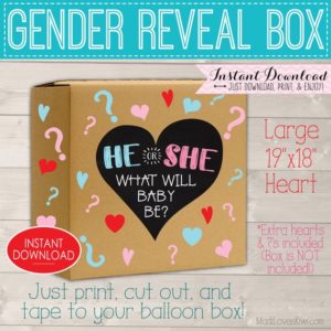 He or She Gender Reveal Box Sign, Digital Party Balloon Decor, Pink Blue Prop Ideas, Girl Boy Decorations, Chalkboard Printable Download Kit