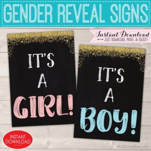 Gender Reveal Sign Digital, It's a Girl Boy Chalkboard Printable, Twinkle Little Star Party Decor Ideas, Pink Blue Maternity Photo Prop Set