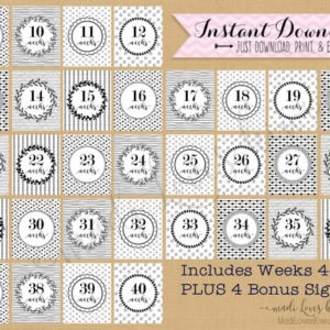 Printable Pregnancy Photo Prop, Black & White Maternity Photoshoot Props, Maternity Photos, Pregnancy Photos, Pregnancy Milestone Cards