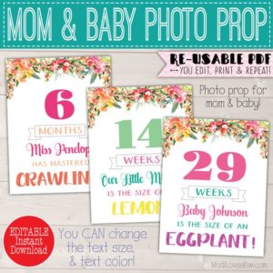 Weekly Pregnancy Sign Editable, Baby Monthly Photo Prop, Baby Month Signs Printable Pregnancy Week By Week, Printable Pregnancy Photo Prop
