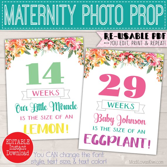 Weekly Pregnancy Sign Editable, Baby Monthly Photo Prop, Baby Month Signs Printable Pregnancy Week By Week, Printable Pregnancy Photo Prop
