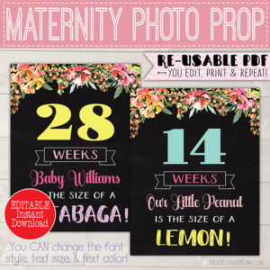 Boho Pregnancy Chalkboard Sign Editable, Pregnancy Week By Week Chalkboard, Pregnancy Weekly Photo, Maternity Sign, DIY Pregnancy Photo Prop
