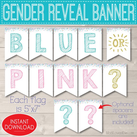 Baby Shower Reveal Banner Felt Bunting Tiny Felt Banner Baby Blue & Blush Pink Garland Gender Reveal Felt Bunting Blue Party Decor