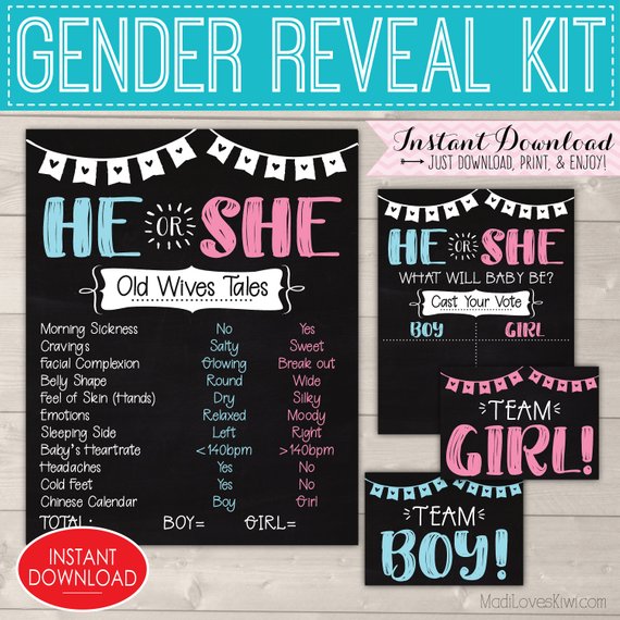 He or She Gender Reveal Party Kit, Old Wives Tales Sign, Baby Vote Decor Ideas Chalkboard Digital Set Wife Printable Team Girl Boy Pink Blue