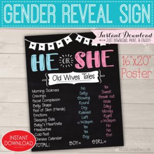 He or She Gender Reveal Party Kit, Old Wives Tales Sign, Baby Vote Decor Ideas Chalkboard Digital Set Wife Printable Team Girl Boy Pink Blue