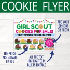 editable girl scout flyer